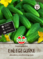 SPERLI Einlegegurke Vorgebirgstrauben