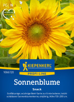 Kiepenkerl Sonnenblume Snack