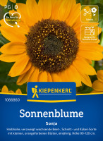Kiepenkerl Sonnenblume Sonja