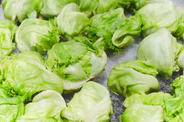 2400-fresh-whole-green-iceberg-lettuces-on-iced-in-grocery