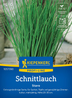 Kiepenkerl Schnittlauch Staro Kiepenkerl Schnittlauch Staro