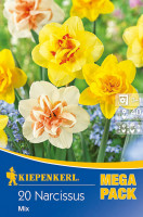 Kiepenkerl Mega-Pack Narzisse Gefüllte Mischung