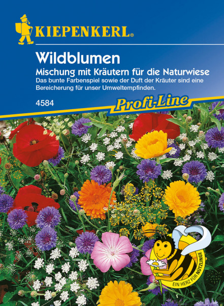 Blumenmischung Wildblumen mit Kräutern