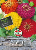 Sperli Zinnie Kalifornische Riesenmischung