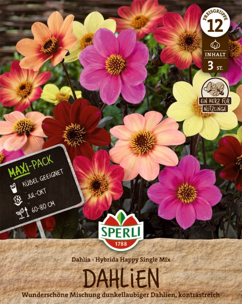 Produktbild von Sperli Dahlie Happy Single Mix mit einer farbenfrohen Darstellung verschiedener Dahlien in Rot und Pinktönen, Verpackungsinformationen auf Deutsch und Hinweisen zur Pflanzung.