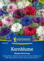 Kiepenkerl Kornblume Midget Mischung