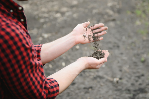 2400-soil-in-farmer-arms-image-with-selective-focus