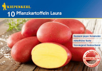 Kiepenkerl Pflanzkartoffel Laura 10St