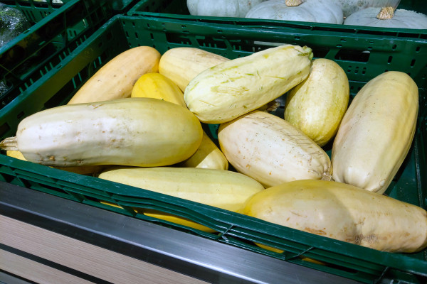 2400-fresh-yellow-squash-display-at-a-market-ideal-for-culinary-and-nutrition-designs