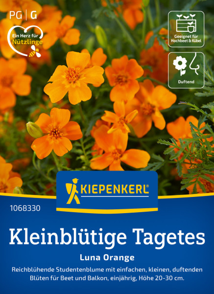 Kiepenkerl Kleinblütige Tagetes Luna Orange