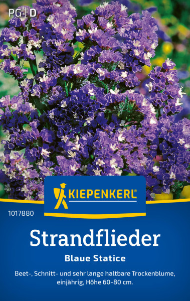 Kiepenkerl Strandflieder Blaue Statice