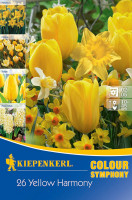 Kiepenkerl Colour Symphony Yellow Harmony