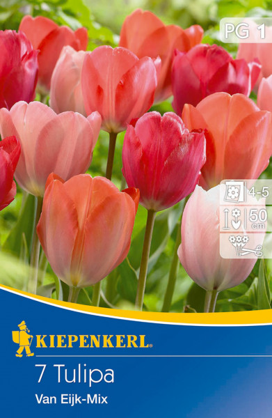 Produktbild von Kiepenkerl Darwin-Hybrid-Tulpe Van Eijk Mischung mit Darstellung verschiedener Tulpenblüten in rot und rosa Tönen und Packungsdesign mit Produktinformationen.