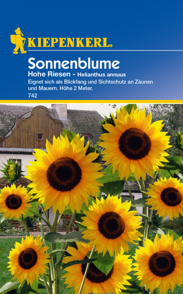 Produktbild von Kiepenkerl Sonnenblume Hohe Riesen Helianthus annuus mit Bildern blühender Sonnenblumen und Verpackungsdesign samt Markenlogo und Produktinformationen in deutscher Sprache