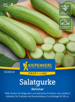 Kiepenkerl Salatgurke Delistar F1