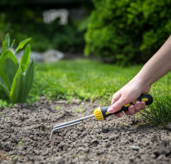 gardening-6803860_1920