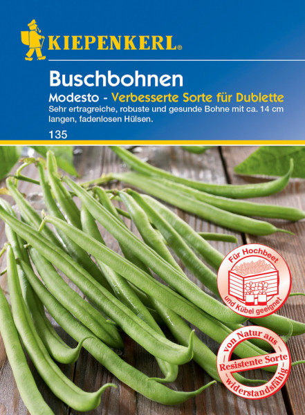 Produktbild von Kiepenkerl Buschbohnen Modesto mit Darstellung der grünen Bohnen und Verpackungsdesign inklusive Markenlogo und Produktbeschreibung in deutscher Sprache.