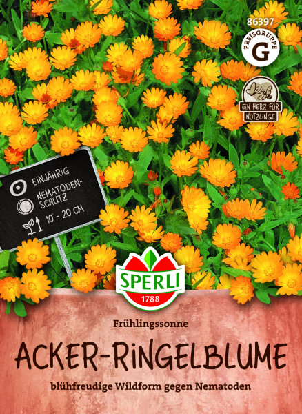 SPERLI Acker-Ringelblume Frühlingssonne