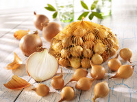 Produktbild von Kiepenkerl Steckzwiebeln Stuttgarter Riesen Gr 25/30 300G mit einer offenen Netztasche und einzelnen gelben Zwiebeln auf einer Holzoberfläche. Produktbild von Kiepenkerl Steckzwiebeln Stuttgarter Riesen Gr 25/30 300G mit einer offenen Netztasche und einzelnen gelben Zwiebeln auf einer Holzoberfläche.