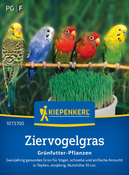 Kiepenkerl Ziervogelgras Frischgrün Mischung