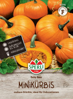 Sperli Kürbis Baby Bear