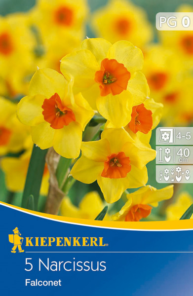 Produktbild von Kiepenkerl Narzisse Falconet mit gelben Blüten mit orangefarbenem Blütenkern und Verpackungsinformationen.