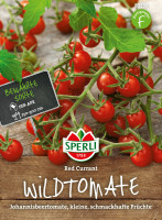 Sperli Wildtomate Red Currant