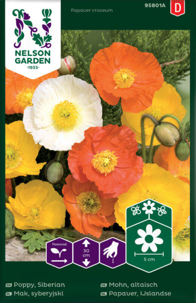 Produktbild von Nelson Garden Altaischer Mohn mit blühenden und knospenden Mohnblumen in verschiedenen Farben und Informationen über die Pflanzenhöhe und Blütengröße in deutscher und weiteren Sprachen.