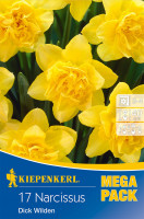 Kiepenkerl Mega-Pack Narzisse Dick Wilden
