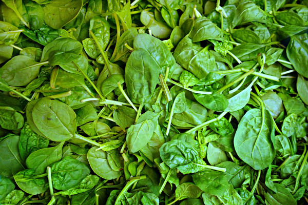 spinach-1522283_1920