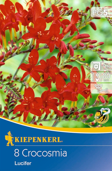 Produktbild von Kiepenkerl Montbretie Lucifer mit Abbildung der roten Blüten, Informationen zur Pflanzengröße und blühzeit sowie dem Markenlogo.