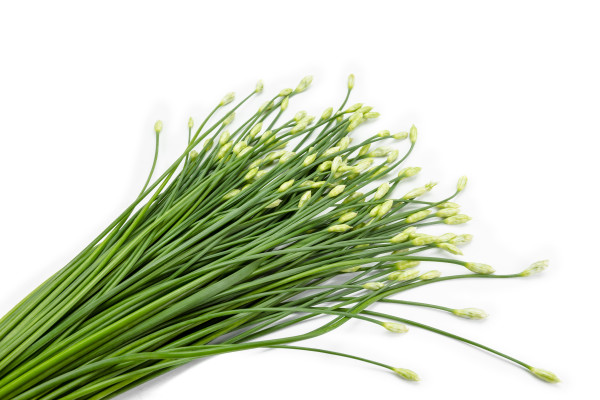 large-garlic-chive-in-threshing-basket-isolated-on-white