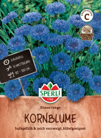 Sperli Kornblume Blauer Junge