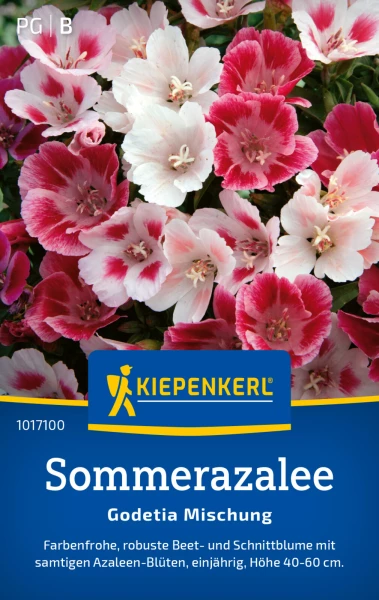 Sommerazaleen dngen: Der Schlssel zur Bltenpracht | Samen.de