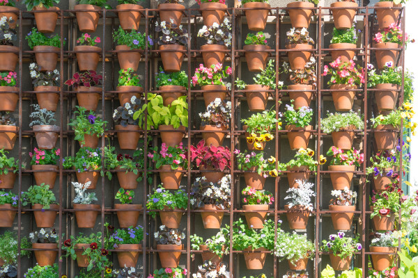 large-wall-of-various-plants-of-different-colors-in-pots