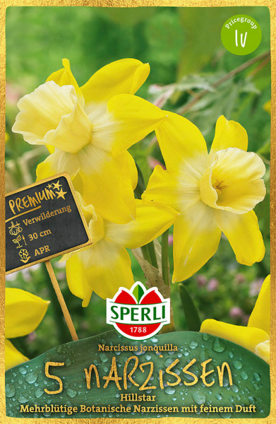 Produktbild von Sperli Premium Botanische Narzisse Hillstar mit blühenden gelben Narzissen und Verpackungsinformationen auf Deutsch.