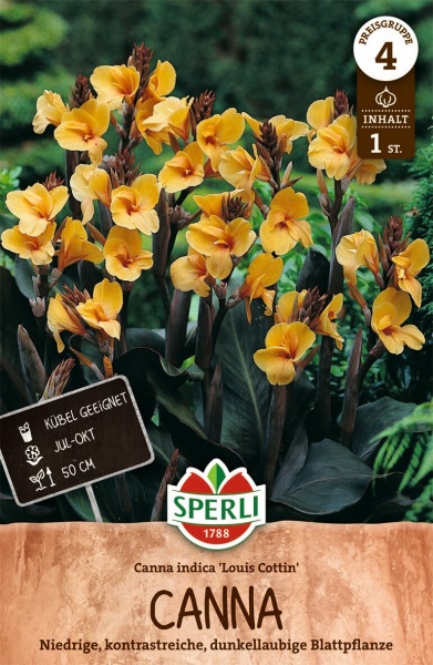 Produktbild von Sperli Blumenrohr Louis Cottin mit gelben Blüten Informationen zur Pflanzung und das Logo von Sperli