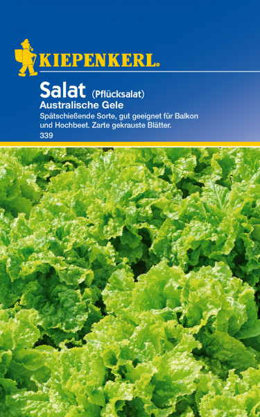 Produktbild von Kiepenkerl Pflücksalat Australische Gele Verpackung mit gelb-grüner Salatdarstellung und Hinweisen zur Eignung für Balkon und Hochbeet.