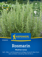 Kiepenkerl Rosmarin Mediterranea