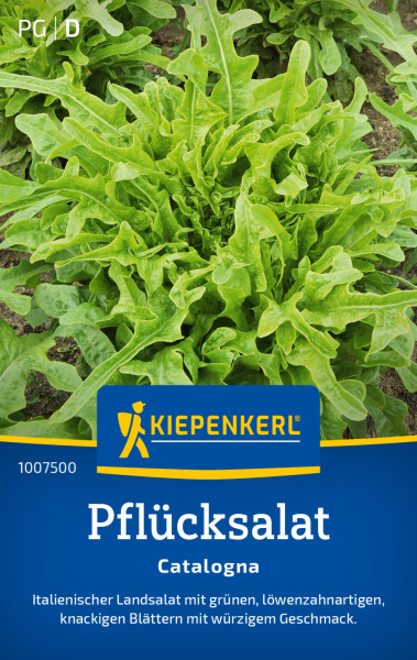 Kiepenkerl Pflücksalat Catalogna (Schnittsalat)