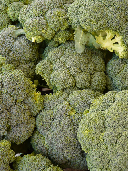 broccoli-5736_1920