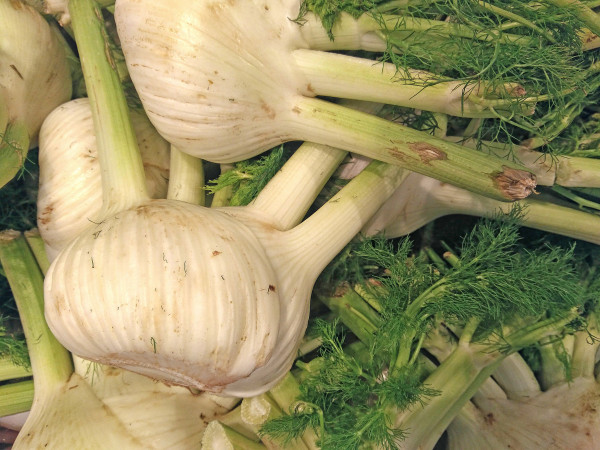 2400-fennel-vegetable-on-background