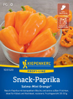 Kiepenkerl Paprika Salma-Mini Orange® F1