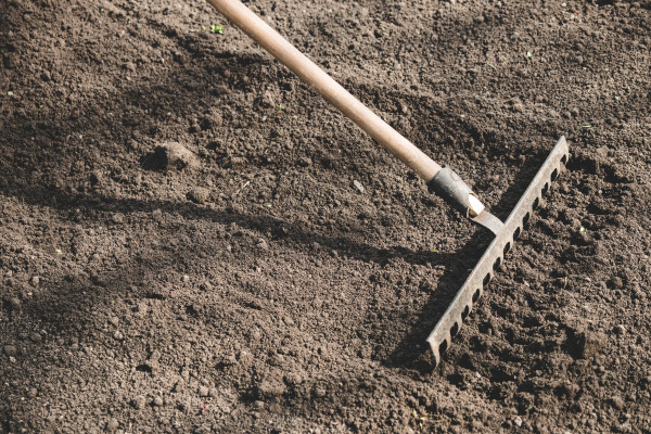 2400-farmer-prepares-the-soil-with-a-rake-before-planting-plants-1