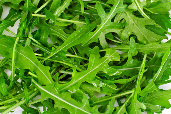 2400-fresh-green-arugula