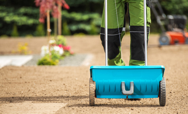 large-gardener-seeding-grass-using-rolling-seeding-spreader