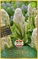 Sperli Premium Gefüllte Späte Tulpe Harborlight