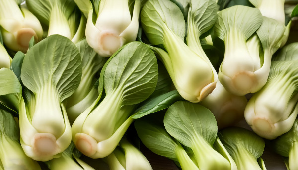 large-bok-choy-or-pak-choi-chinese-cabbage-pattern-texture-background