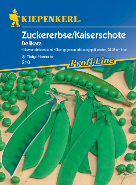 Produktbild von Kiepenkerl Zuckererbse Delikata mit Darstellung der Erbsenschoten und Informationen zu Anbau und Sorteneigenschaften.