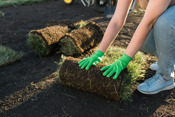 2400-close-up-woman-laying-sod-for-new-garden-lawn-turf-laying-concept